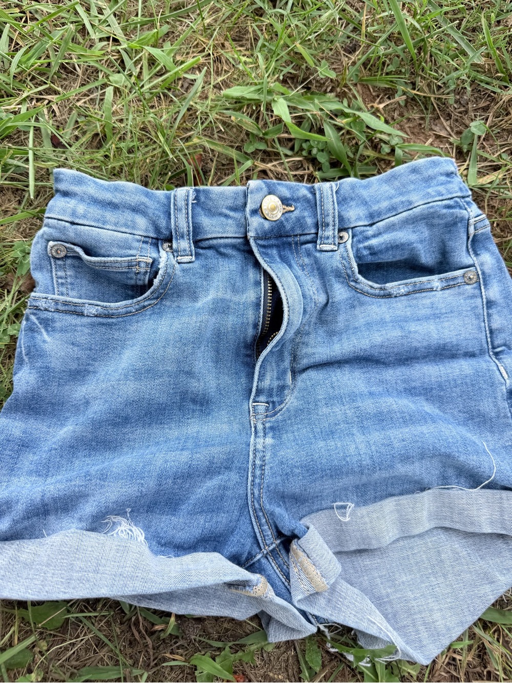 American Eagle Outfitters Light Blue Denim Cuffed Shorts